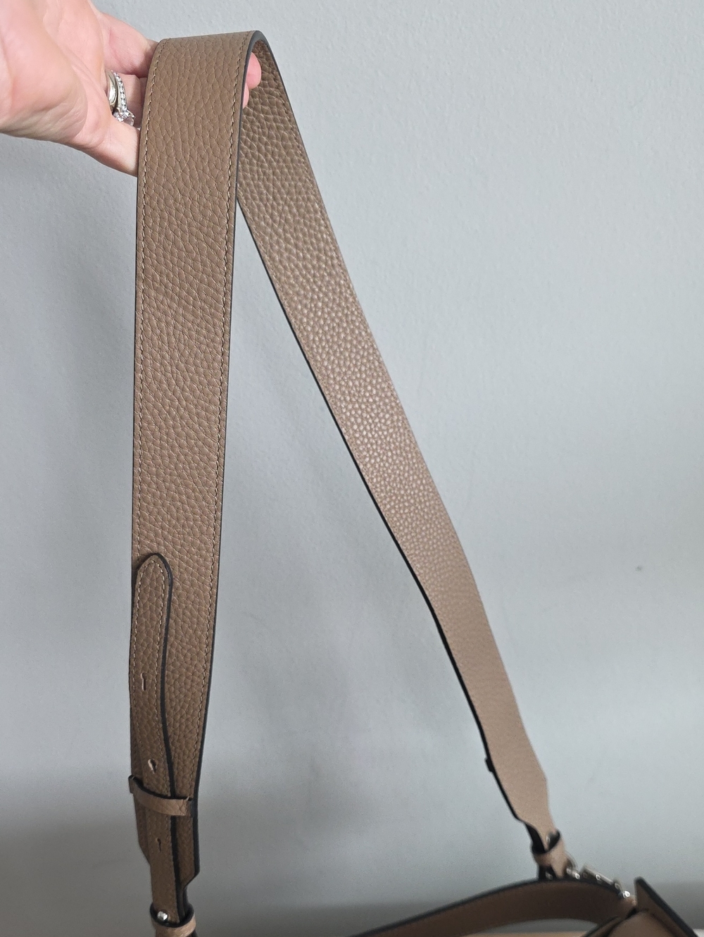 The Horse Clementine Bag In Pebbled Taupe - Picture 8 of 12
